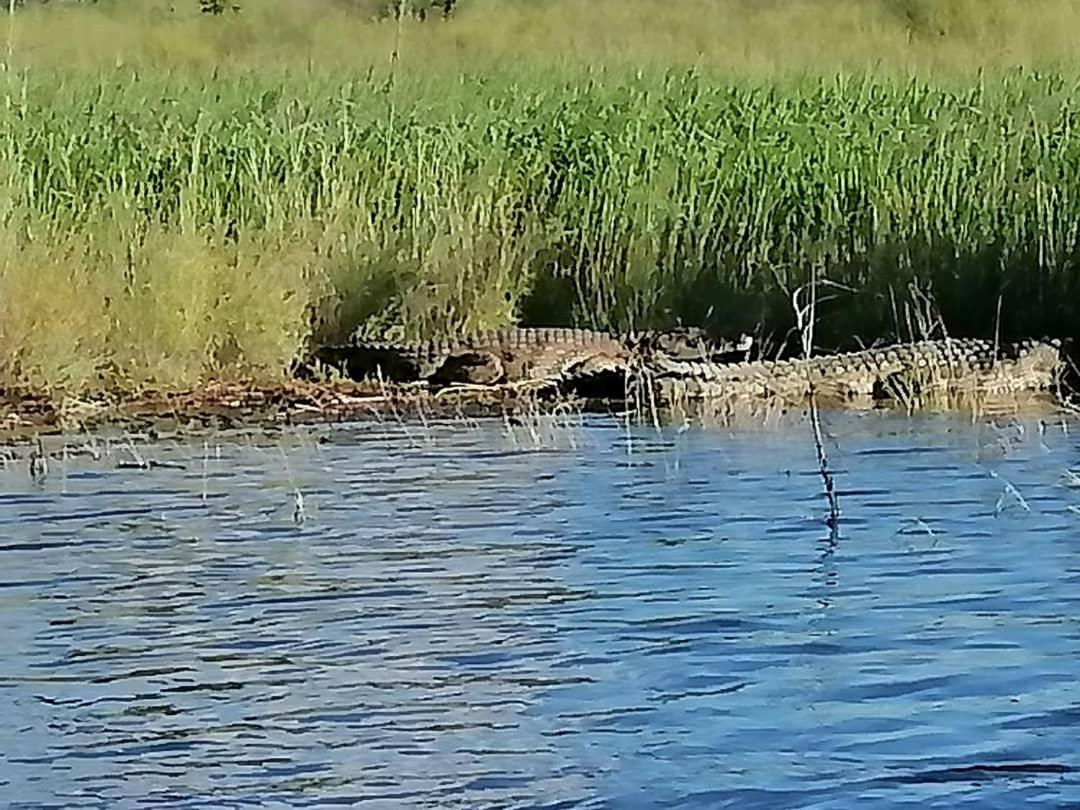 Camp Hogo Kavango Rundu Exterior foto