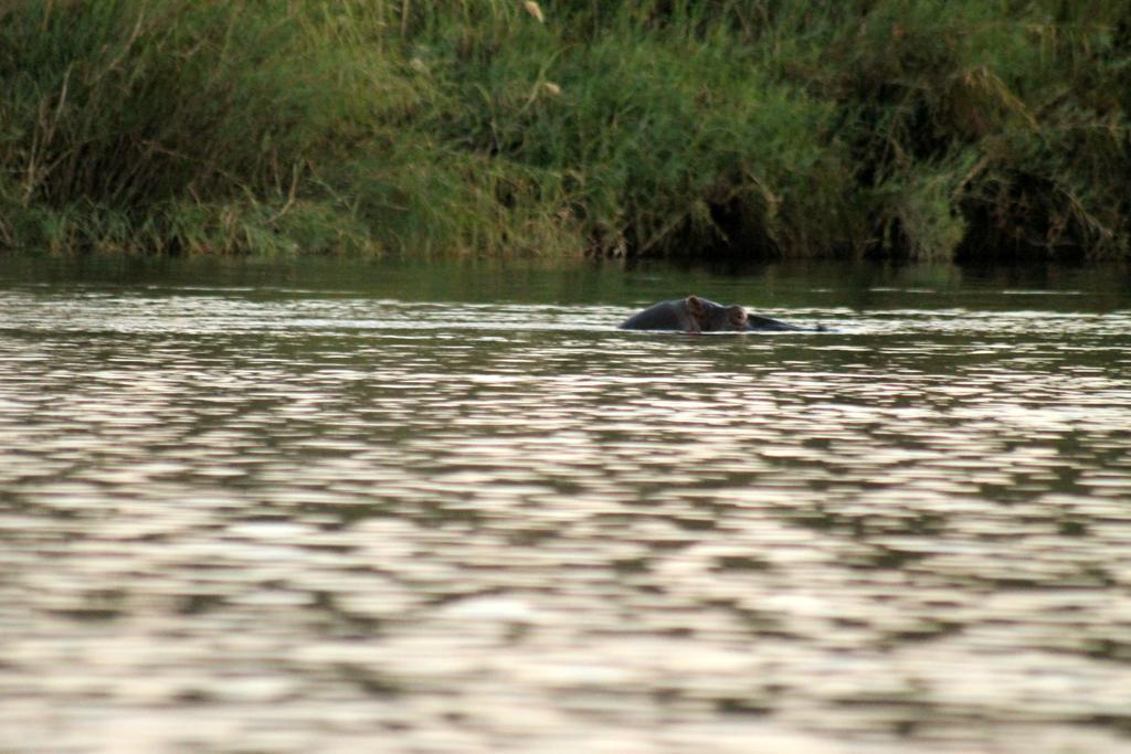 Camp Hogo Kavango Rundu Exterior foto